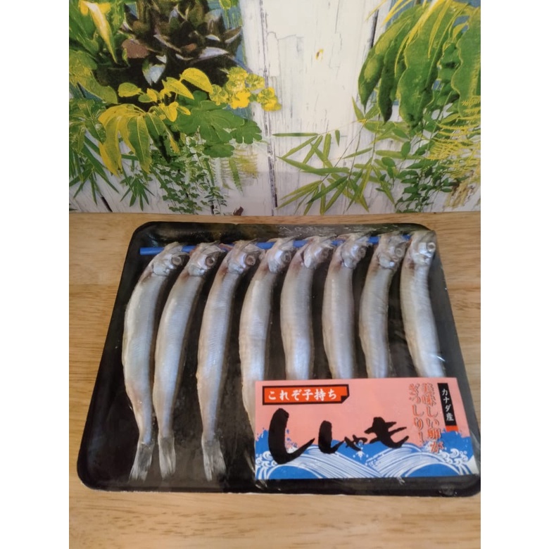

Ikan Shisamo (150 gram ) - Java Sea