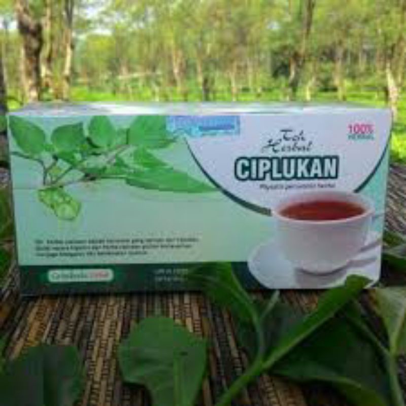 

Teh Ciplukan Original Ampuh Mengatasi Diabetes Tanpa Efek Samping