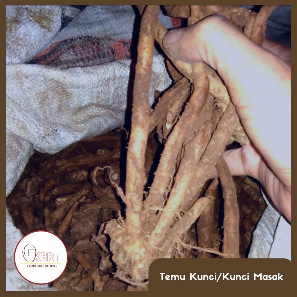 

Temu Kunci - 1Kg