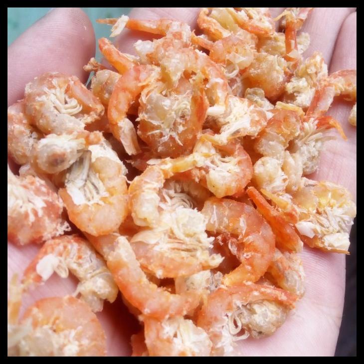 

DISKON TERBATAS !!! HEBI/EBI KALIMANTAN/PONTIANAK SUPER TERLARIS