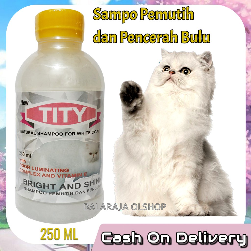 Shampo Kucing Bulu Putih Sampo Penghilang Noda Kuning Tity Cat White Solid