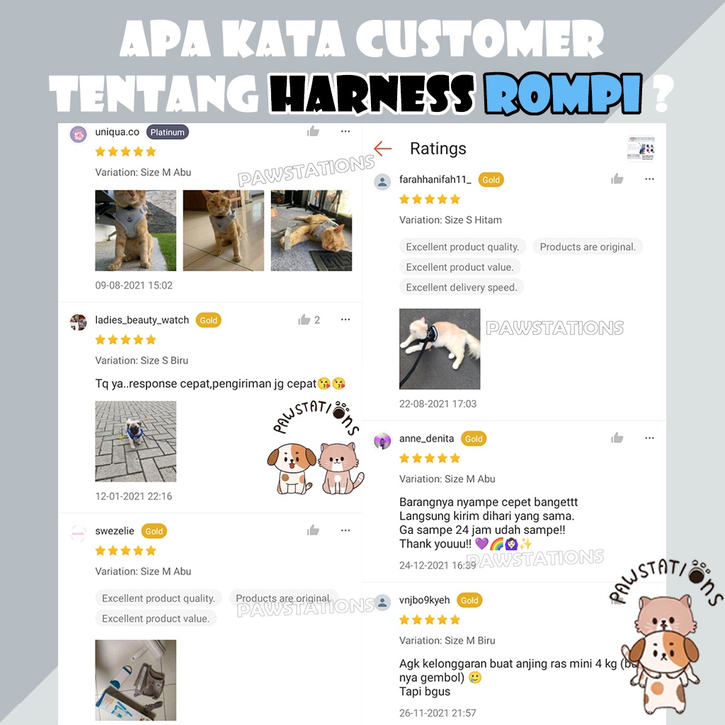 Tali Kucing untuk Jalan Harness Kucing Rantai Anjing Harness Anjing Tali Anjing Tali Tuntun Kucing Tali Anjing Kecil Hernes Kucing Harness Tali Kucing Panjang Leash Anjing Harnes Musang Rompi Kucing Rompi Anjing