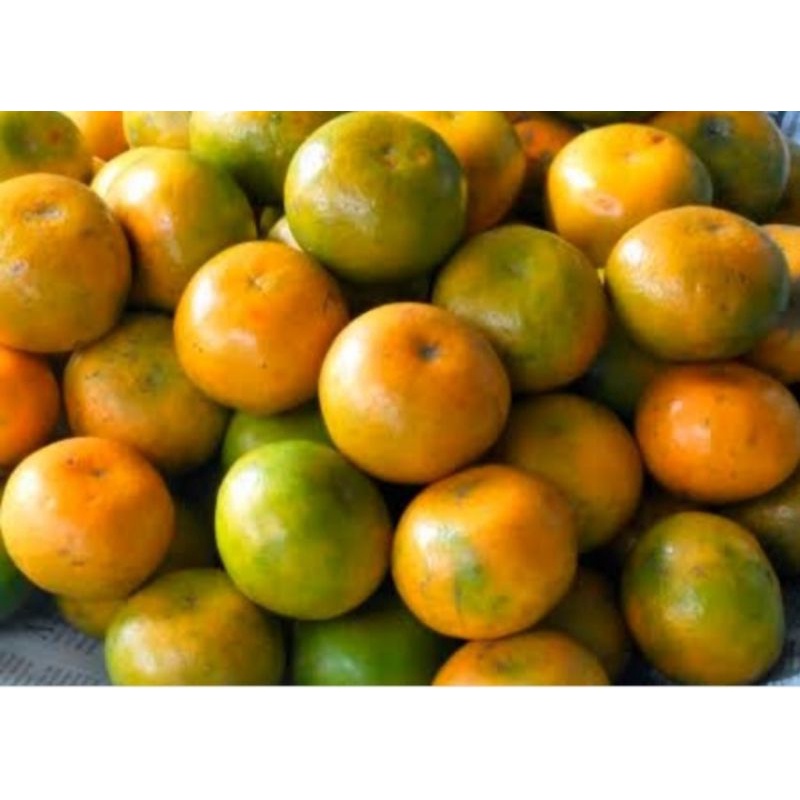 

inffresh eruk medan 1kg