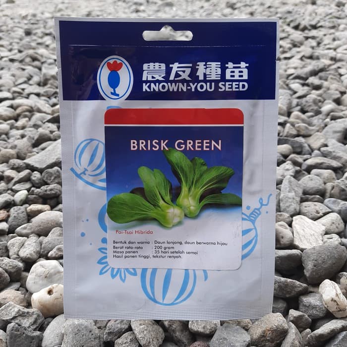 PAK CHOY BRISK GREEN 5 GRAM PACK BESAR Benih biji bibit pakchoy pak coy sawi sendok f1 hibrida known you seed