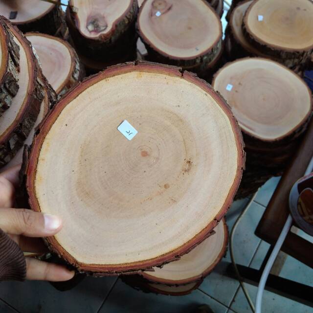 Wood slice // wooden slice // alas kayu