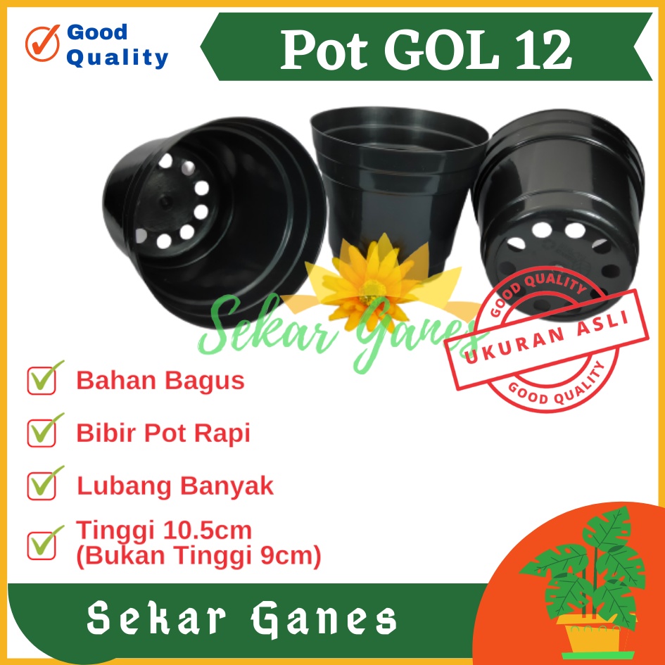 Pot 12 Cm Hitam Polos - Pot 12 Hitam Kecil Mini Minimalis Plastik Kaktus Sukulen Mini Murah Pot Bibit Pembibitan