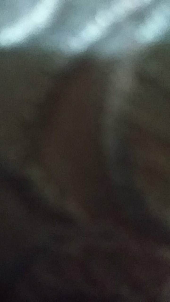 Kemeja Batik Peksi Kembar Merah Ori Ukail Batik Full Furing Batik Pria Lengan Pendek