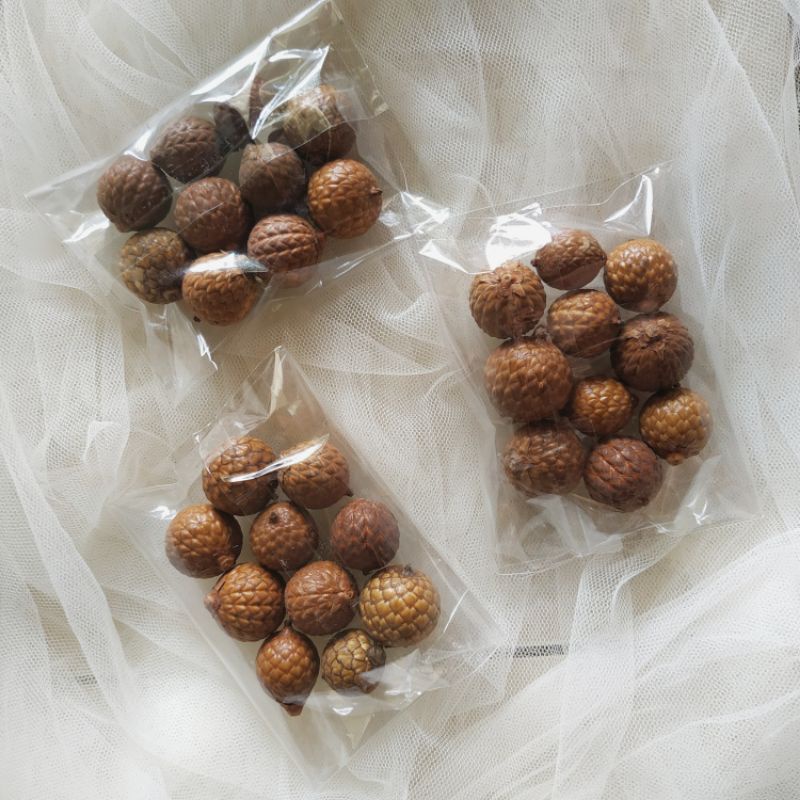 (10-12pcs) Biji rotan kering/ biji rotan hias/biji rotan rustic