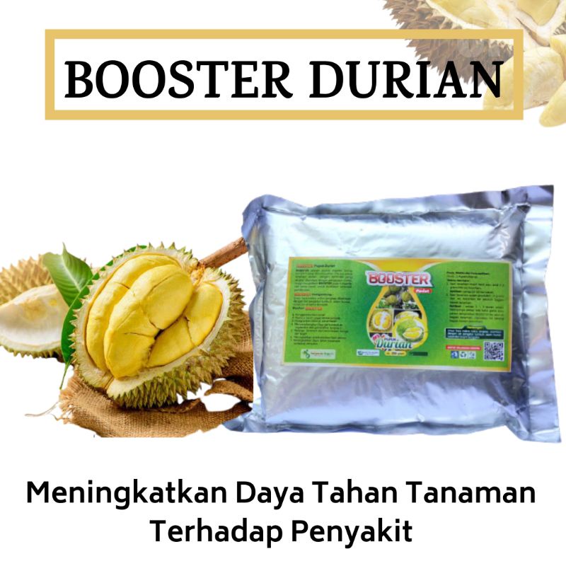 Pupuk Durian Baru Tanam, Pupuk Buah Durian Berbuah Lebat