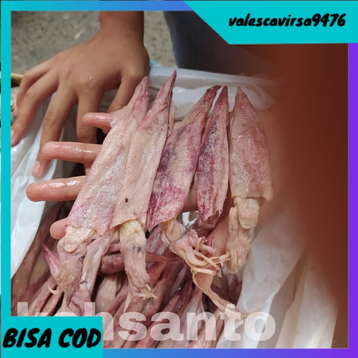 

⭐BISA COD⭐ ikan asin cumi panjang/lontar-500gram