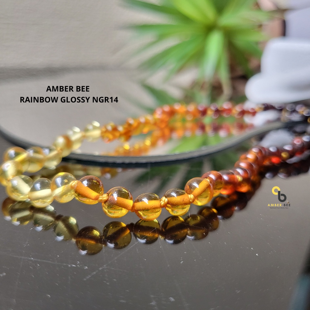 Set Kalung Gelang Amber Baltic Bayi &amp; Anak Glossy Rainbow NBGR14110B By Amber Bee