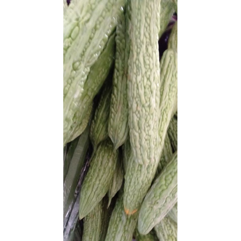 

Pare Paria ,Balsam Pear, Butter gourd sayur