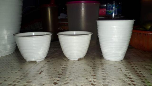 Pot Honey 10 Gbl Pot Tawon 10 Pot Madu 10 Putih