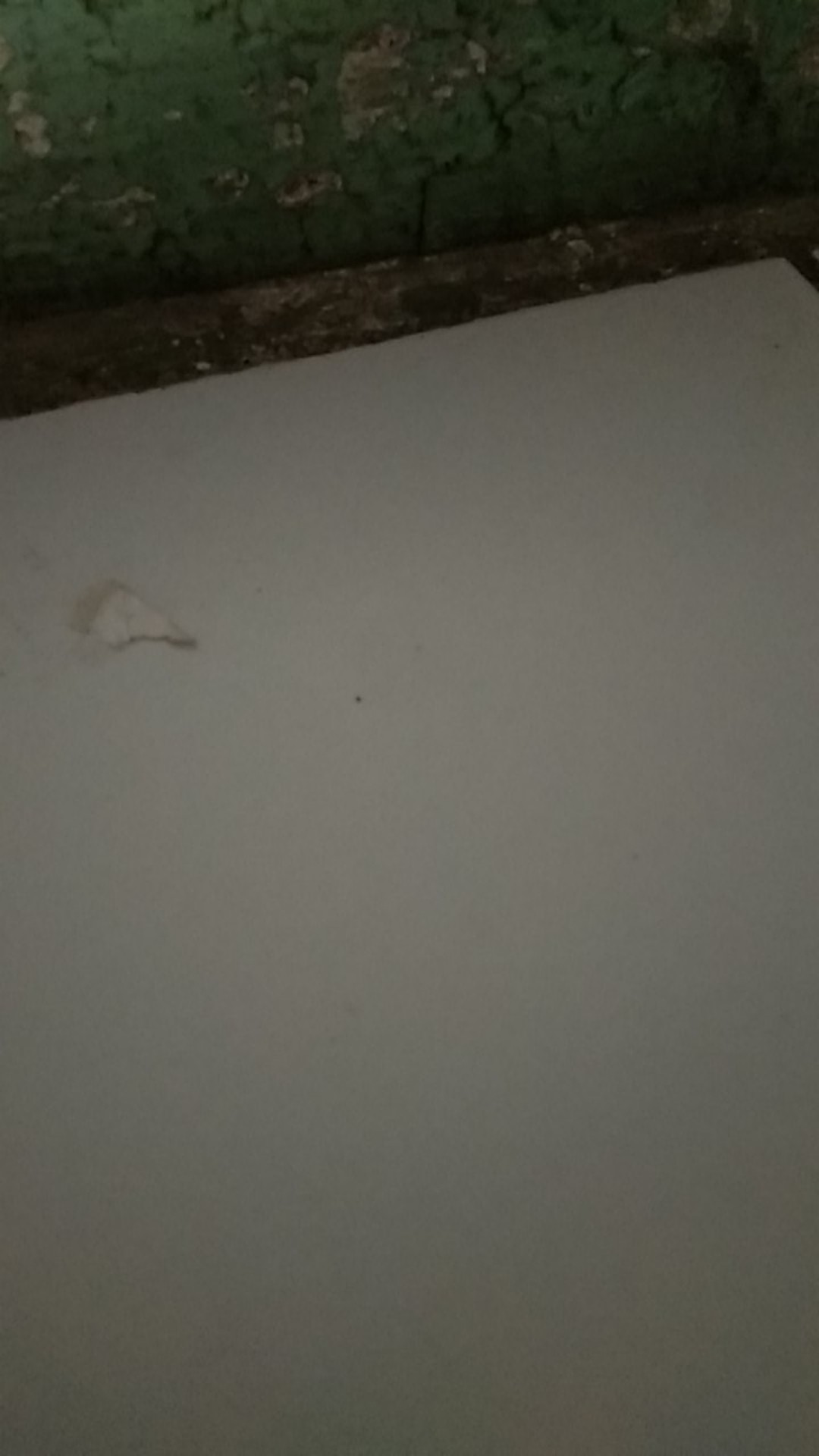 4 X 10 Plastik Opp Tebal 30 Micron (0,5) Plastik Kemasan / Plastik Undangan