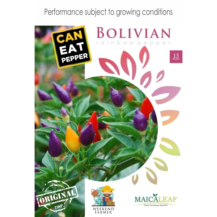 Benih Cabe Pelangi Bolivian/Bibit Cabe Pelangi Bolivian Isi 15 Benih