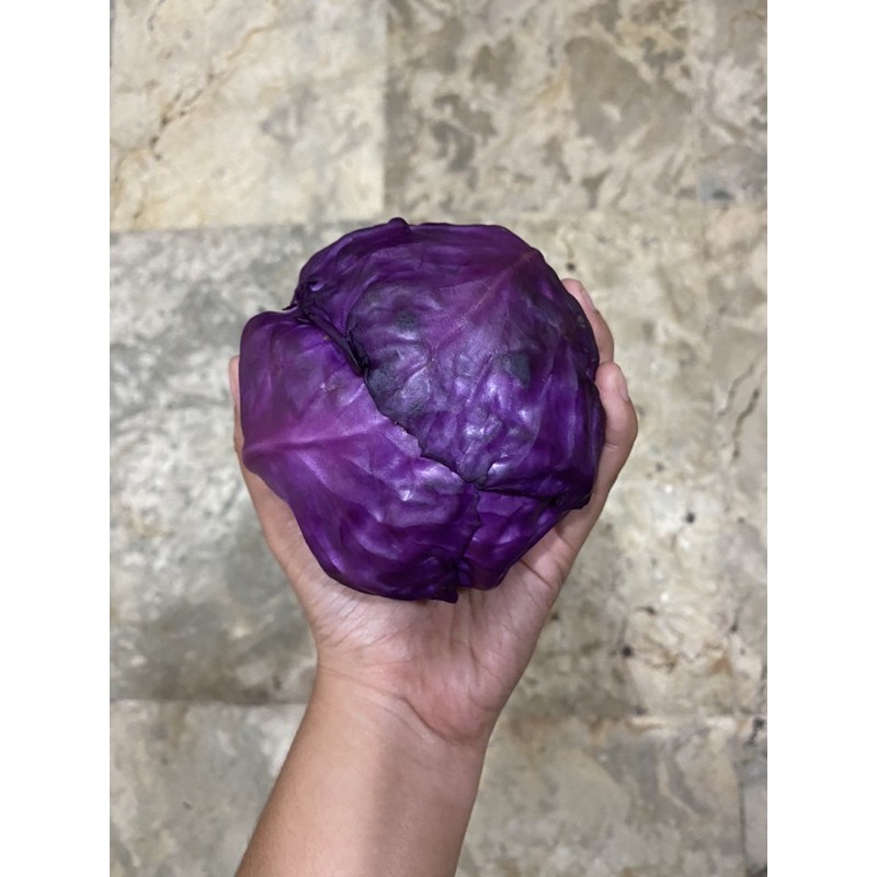 

Kol ungu fresh 500 gram