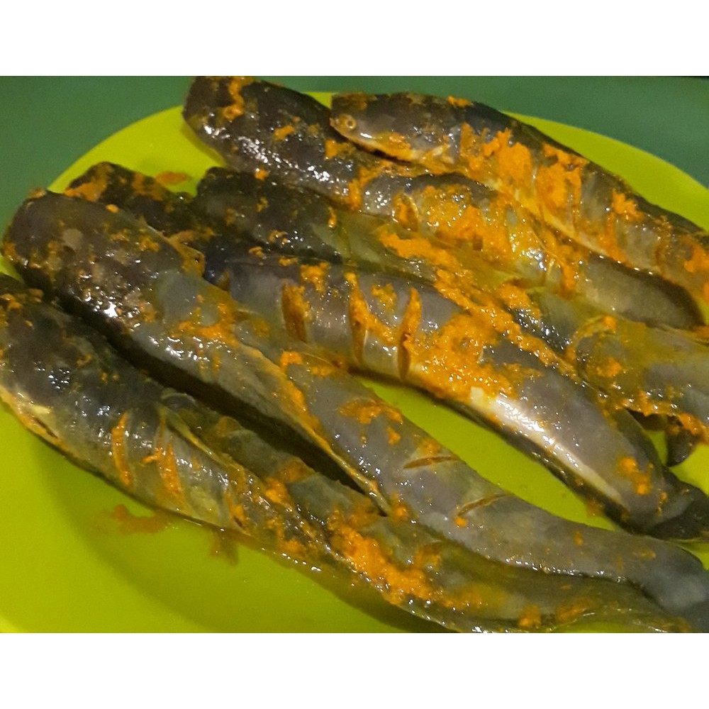 Jual Ikan Lele Bumbu Kuning Ikan Siap Goreng Ikan Siap Masak Shopee Indonesia