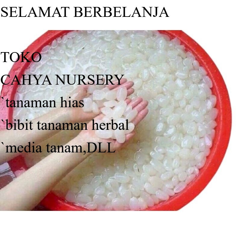 

PROMO TERMURAH buah kolangkaling 1kg murni kolang kaling caruluk aren muda tanpa campuran
