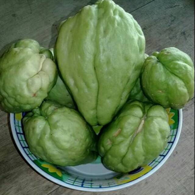 

Labu. waluh lezet fres segar 1kg