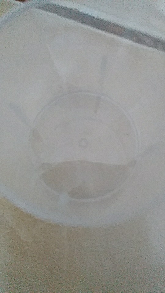 Gelas Ukur 30ml Alat Takar Takaran 30 Ml 30g 30gr 30gram 30 G Gr Gram