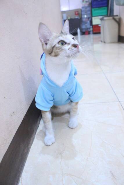 Kostum stitch &amp; lilo untuk kucing dan anjing lucu / baju kucing murah size S M L XL