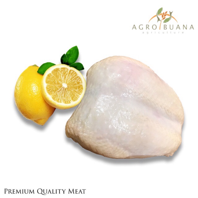 

Ayam Fillet Dada Kulit Tanpa Tulang / Boneless Chicken Breast