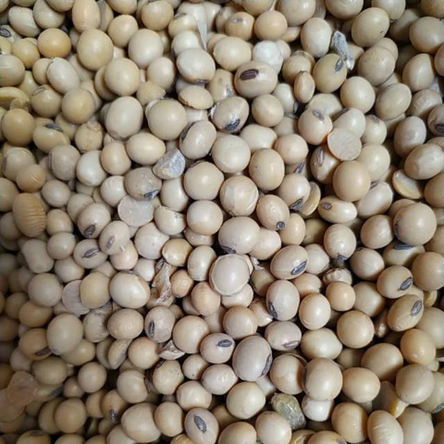 

Kacang kedelai 500 gr