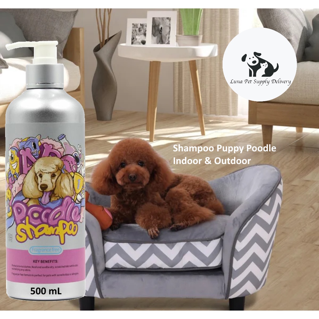 Jual Dog Shampoo 6K Fragrance Free Poodle 500ml untuk Anjing Poodle