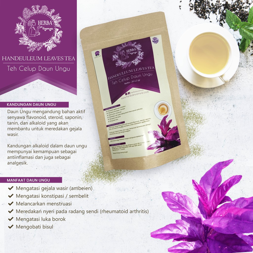 

MENGATASI WASIR AMBEIEN! TEH CELUP DAUN UNGU HANDELEUM TEA HERBA NYONYA 100% Natural