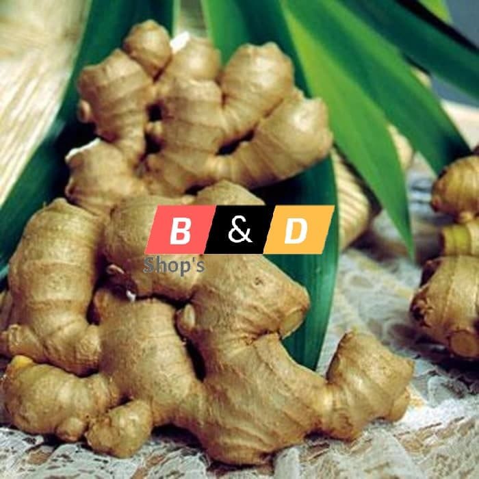 

Jahe Emprit Kecil-Kecil Minuman Dan Rempah-Rempah Netto 500 Gram.