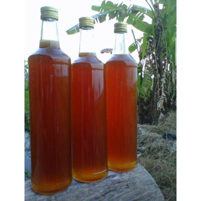 

Madu Randu Murni ( Madu Tawon/Lebah asli dari nektar bunga randu )