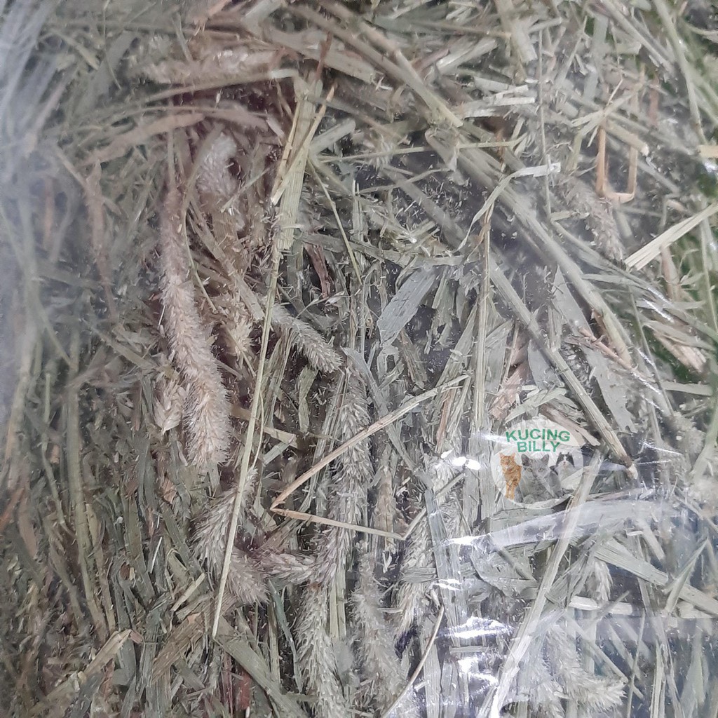 OXBOW Timothy hay 1kg