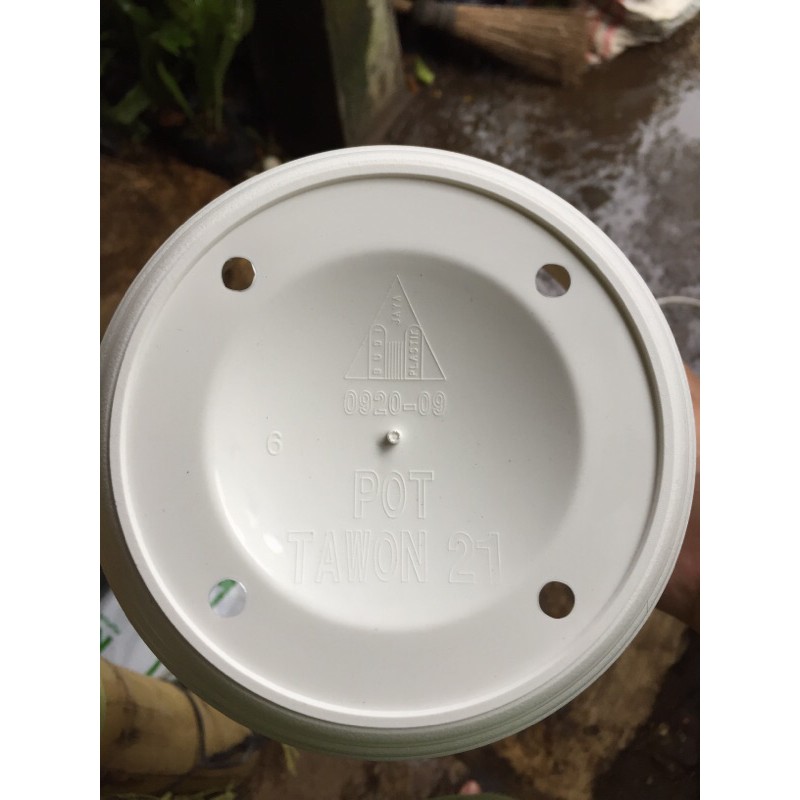 POT TAWON PUTIH / POT BUNGA