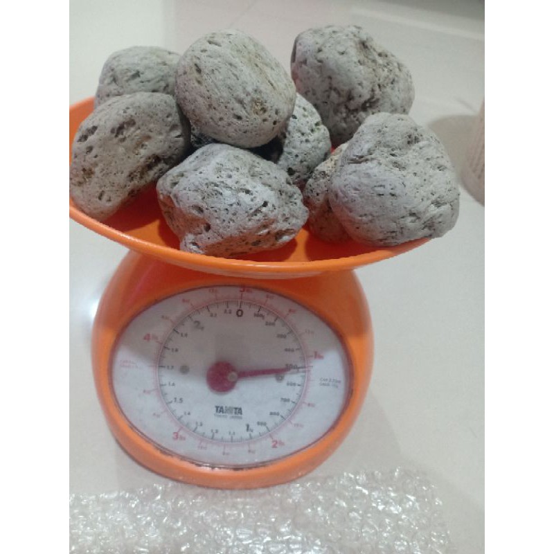 

BATU APUNG 500 Gr