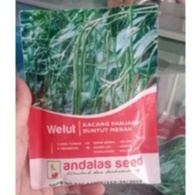 Benih Kacang Panjang Buntut merah Andalas Seed 100gr