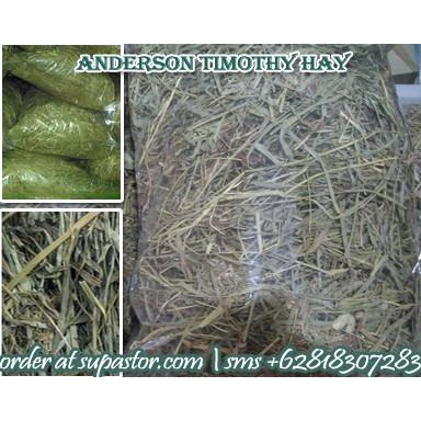 

Timothy Hay 500 Gr Repack Size Lokasi Surabaya