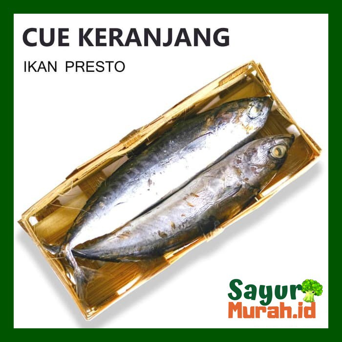 

IKAN CUE KERANJANG [1 Pack ]