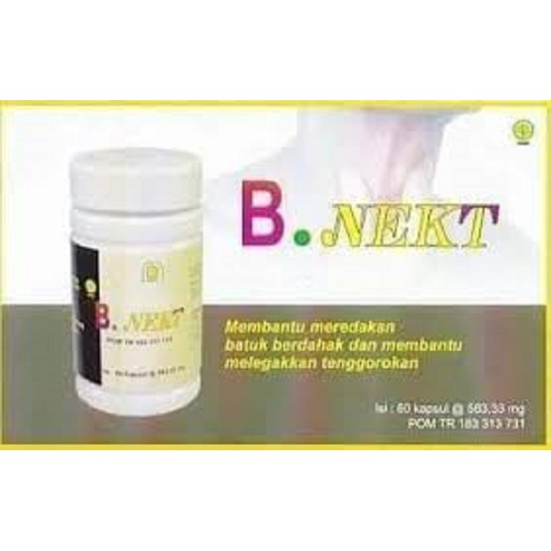 

BNEKT Untuk Kesehatan Paru-paru