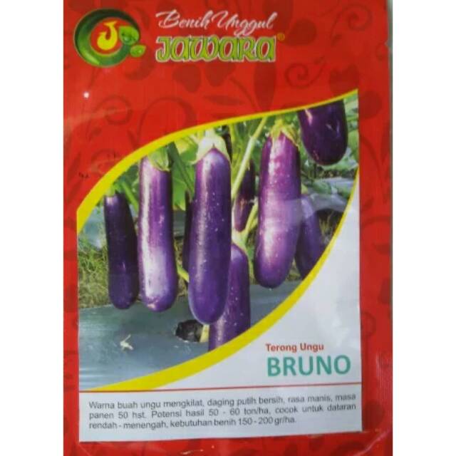 jawara benih terong ungu bruno 10 gr