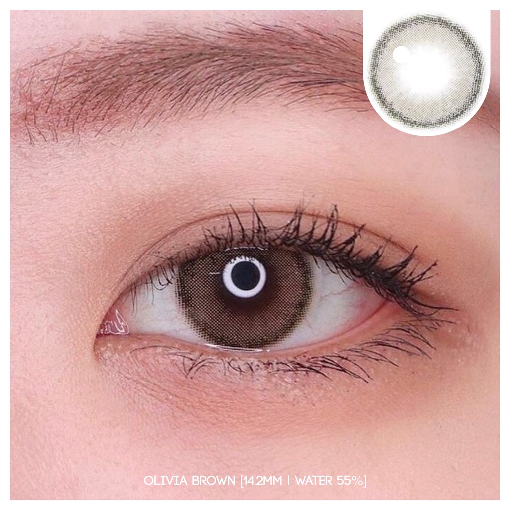 MIKHAYLOVESHOP Softlens Olivia Brown | Kittykawaii