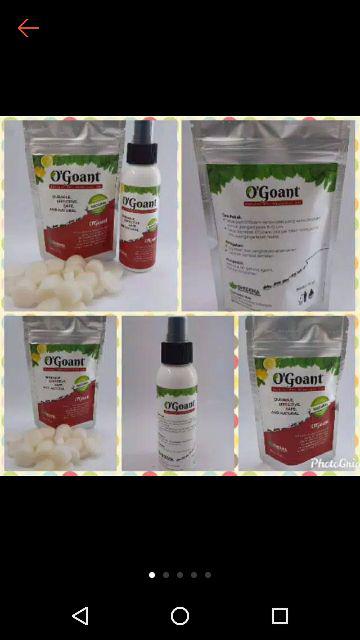 Ogoant  Ogoant Pengusir Semut Alami / Pembasmi Semut/penghilang Semut /pengusir Semut/obat Semut