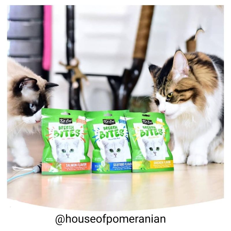 KIT CAT breath bites 60gr snack cemilan kucing pembersih gigi mulut napas cat food