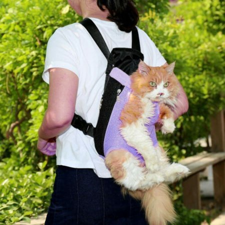 Tas Ransel Gendong Kucing Anjing Hewan / Pet Backpack Carrier Cat Dog / Travel Shoulder Bag for Pet