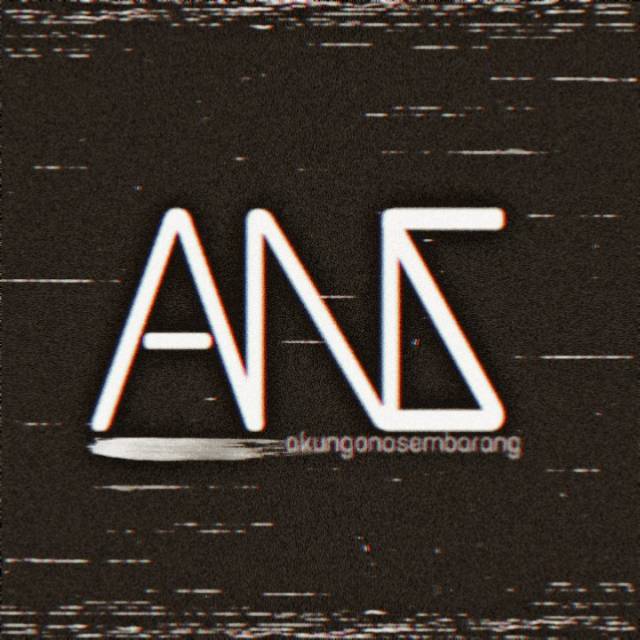 ansproject