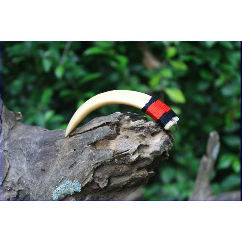 Kalung taring babi etnik