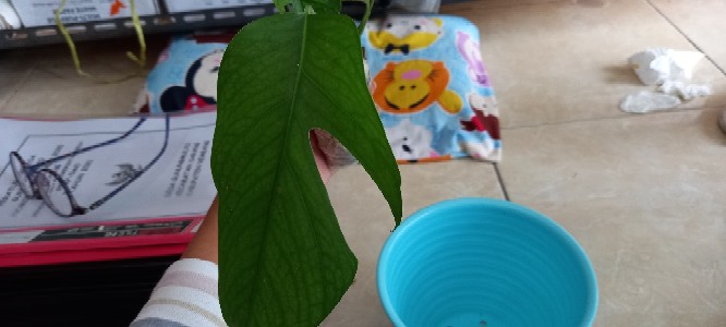 Turus Rambatan Serabut Kelapa 40 Cm