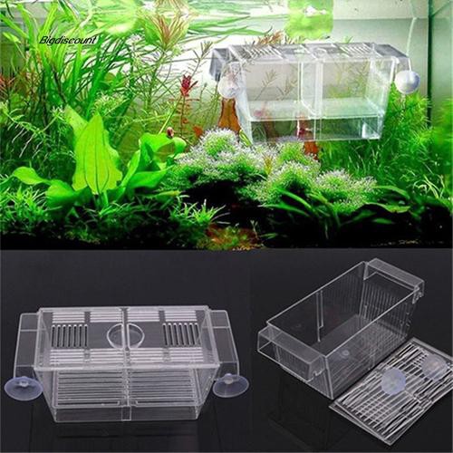 106 Desain Aquarium Guppy Gratis Terbaru