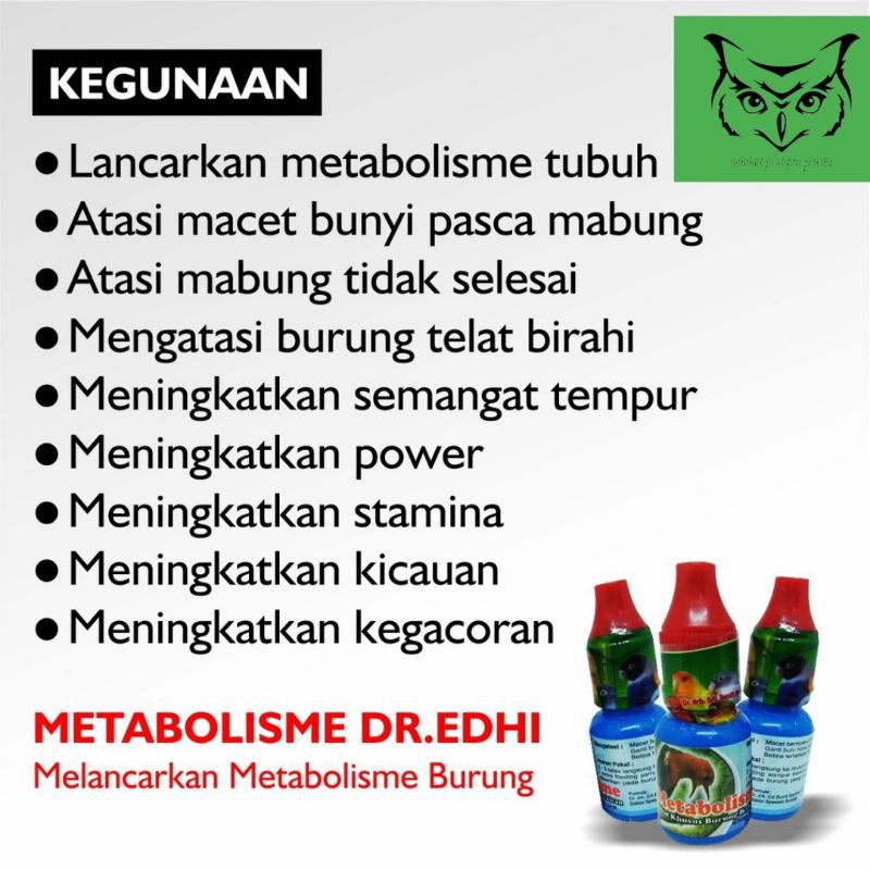 metabolisme obat burung.