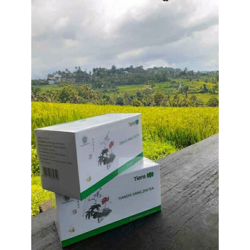 PELANGSING BADAN TIENS.