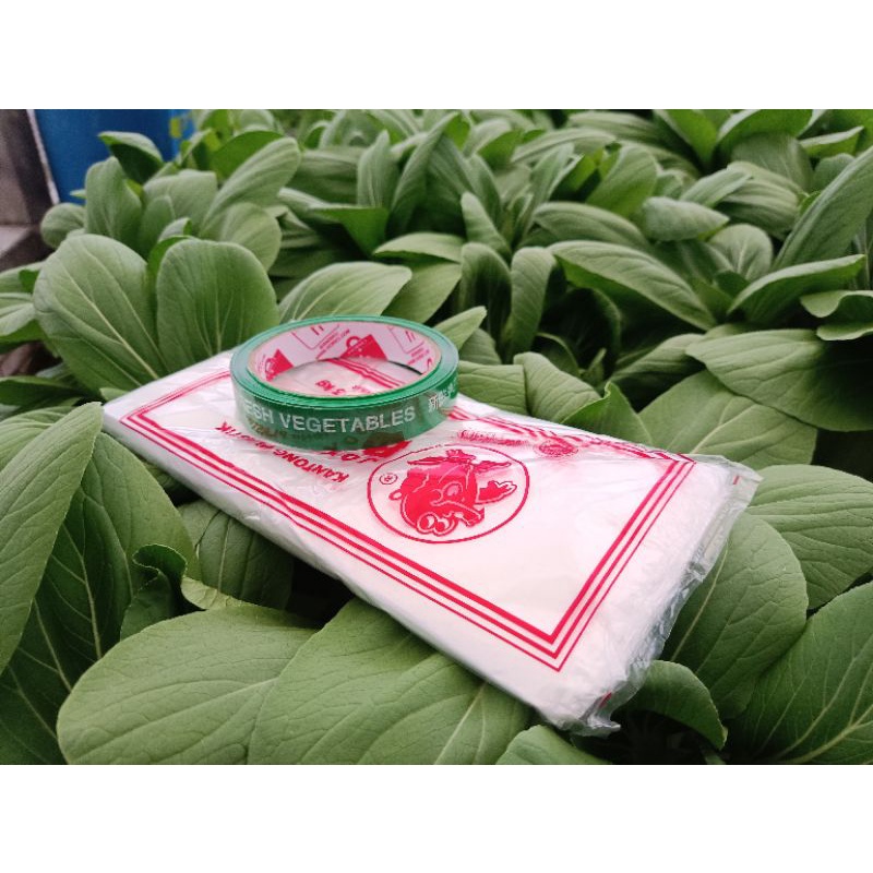 Paket Packaging sayuran segar Hidroponik (isolasi +Plastik)